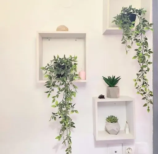 Lägenhet Progresso
